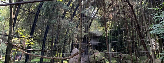 Aviario Chapultepec is one of Zoo.