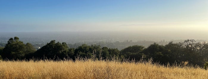 Wild Cat Loop Vista is one of Guide to Cupertino's best spots.
