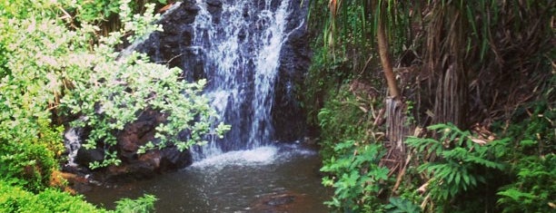 Jungle Hike Falls is one of Kaua'i Mi.