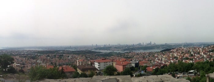 Best of the Istanbul's