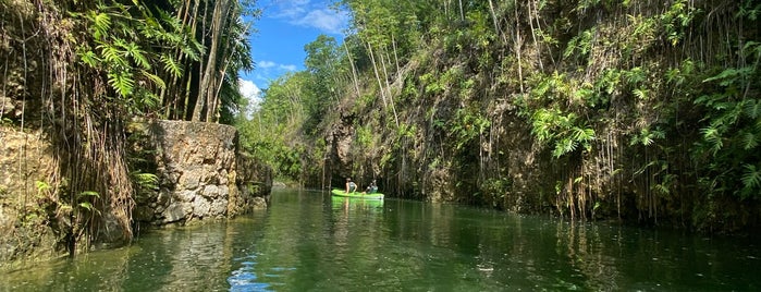 cenote Kin-ha is one of Cancún.