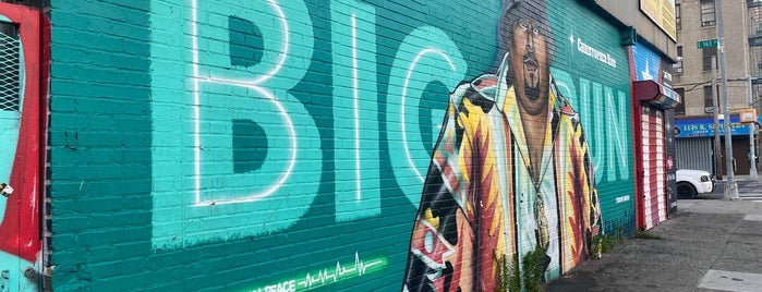 Big Pun Memorial Mural is one of Graffiti.