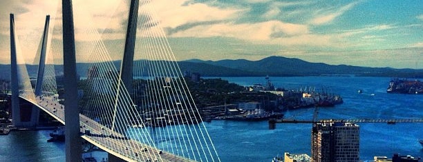 Vladivostok is one of Города участников форума.