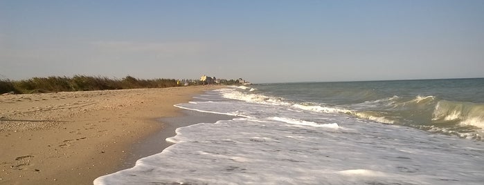 Нудистский пляж в Бердянске is one of Бердянск.