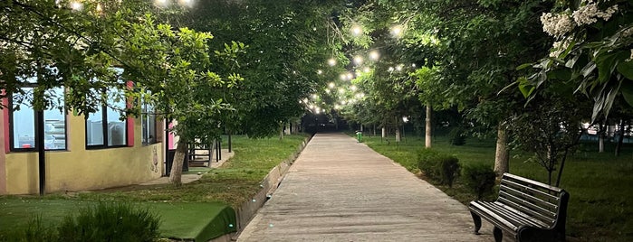 Парк Бабура / Babur Park is one of Места, где сбываются желания. Ташкент.