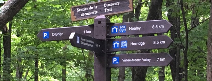 Parc de la Gatineau Park is one of Hiking.
