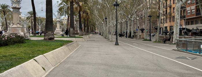 Passeig de Lluís Companys is one of Barcelona imprescindible.