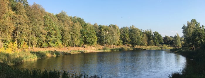 Шишкинский пруд is one of Lieux qui ont plu à Olesya.