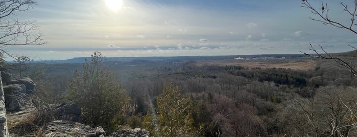 Rattlesnake Point is one of Ancaster.