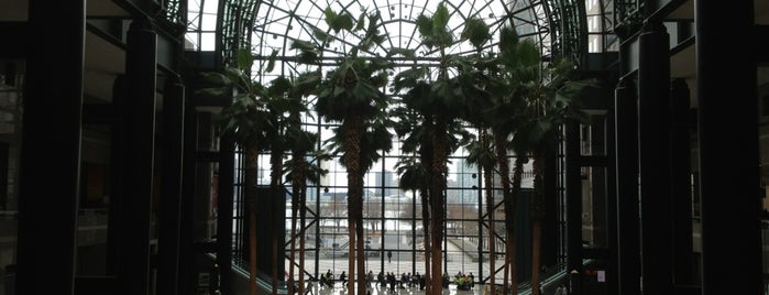 Winter Garden Atrium is one of New York Step by Step.