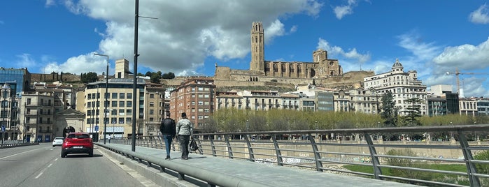 Lleida is one of Municipis catalans visitats.