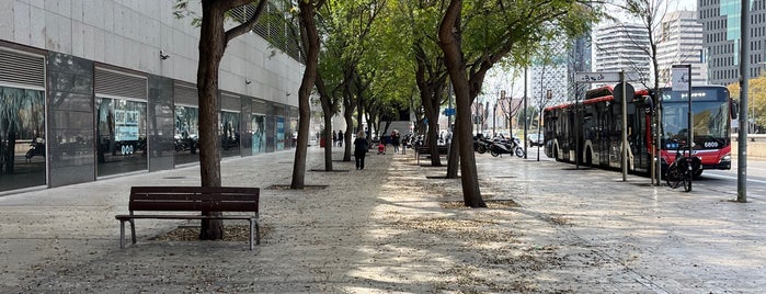 L'Hospitalet de Llobregat is one of Llocs.