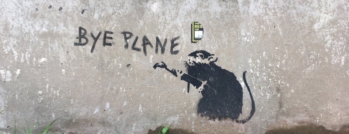 Banksy Biplane is one of Liverpool.