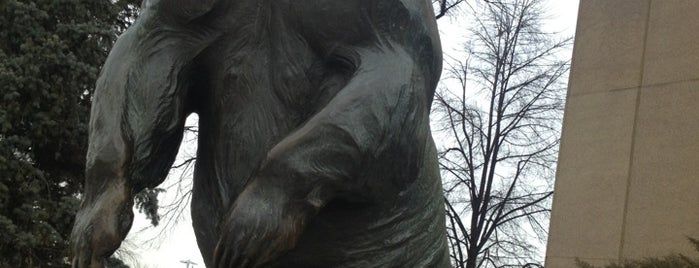 City Park Bear Statue is one of Sculptures and Artwork Around Denver.