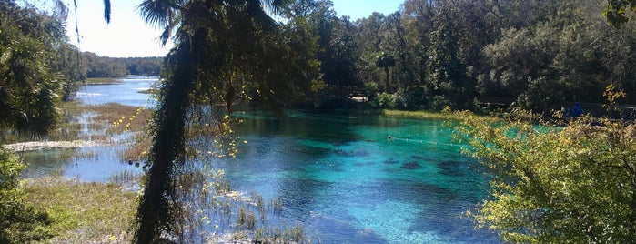 Rainbow Springs Lagoon is one of Nord-Florida Panhandle / USA.