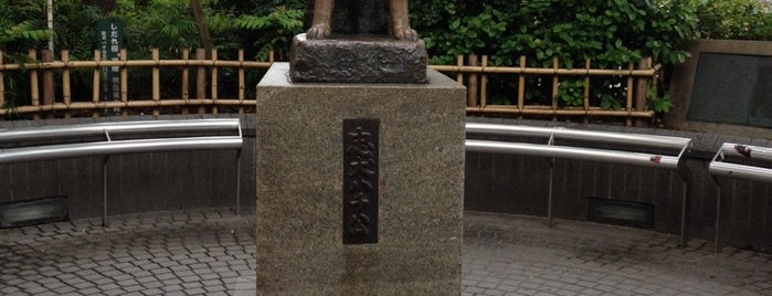 Hachiko Statue is one of TOKYO. Mis viajes.
