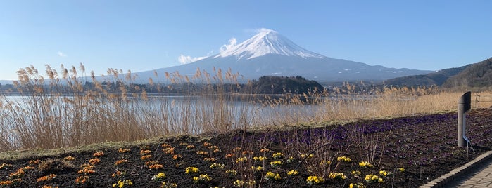 Kawaguchiko Natural Living Center is one of Fuji.