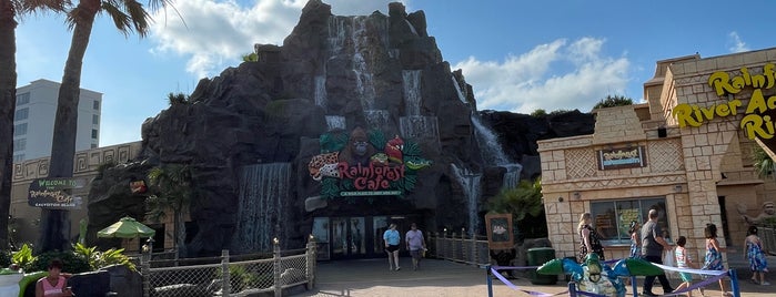 Rainforest Cafe is one of Vanessaさんのお気に入りスポット.