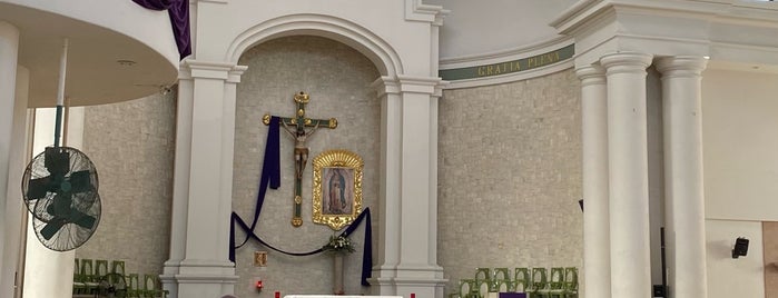 Santuario de Nuestra Señora de Guadalupe is one of Tempat yang Disukai Emmanuel.