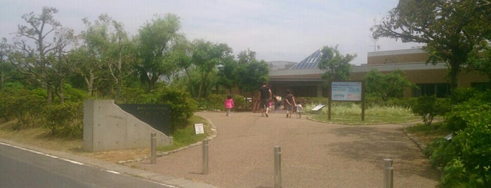 宍道湖自然館 ゴビウス is one of 水族館（らしきものも含む）.