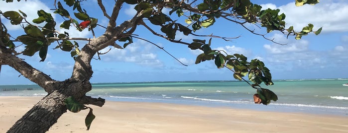 Praia de Sauaçuhy is one of Road Trip Nordeste.