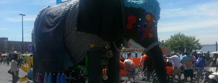 Baltimore Kinetic Sculpture Race is one of Allisonさんのお気に入りスポット.