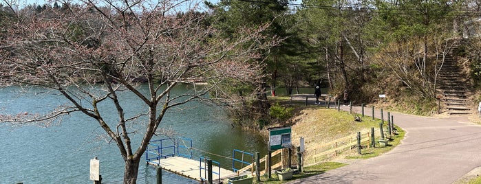 大平森林公園 is one of Recommended Real venues to visit Worldwide.