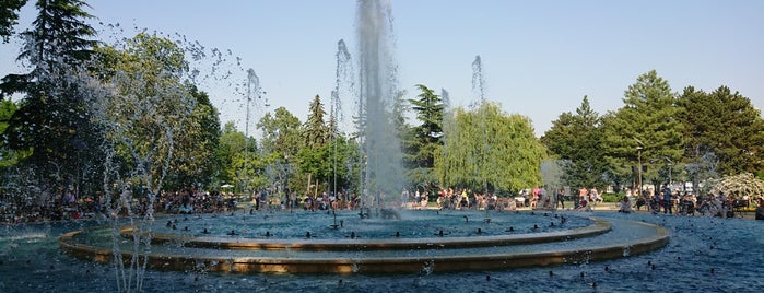 Musical Fountain is one of Budapest.