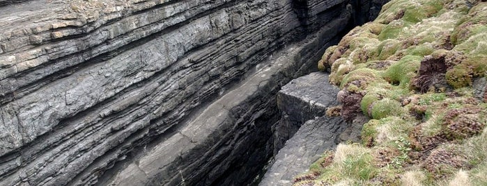 Loop Head Cliffs is one of Irsko.