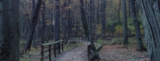 Tinker Nature Park is one of Day Hikes In Rochester, NY.