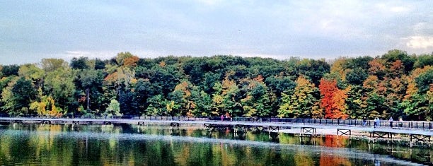 Turning Point Park is one of Day Hikes In Rochester, NY.