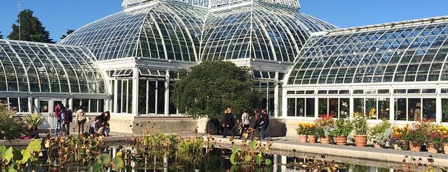 New York Botanical Garden is one of NYC Sites.