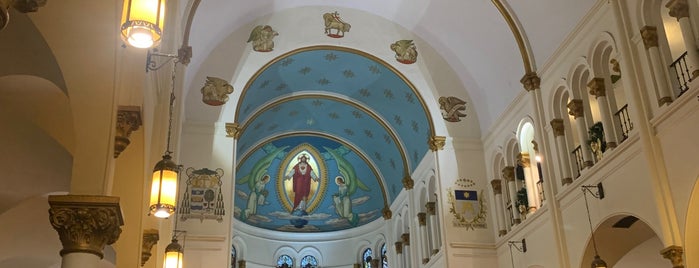 The Basilica of the Sacred Heart of Jesus is one of Churches.