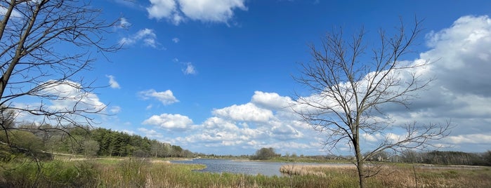 McDonald Woods Forest Preserve is one of Forest Preserves.