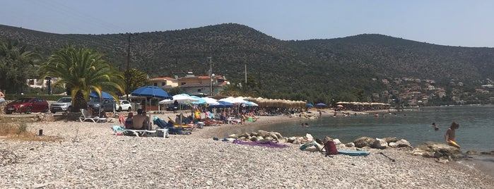 Κόρφος Beach Bar is one of Corinthia.