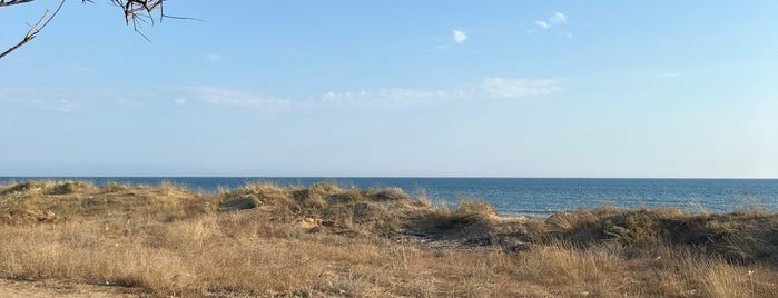Παραλία Σαρακήνα is one of Once upon a time 3.