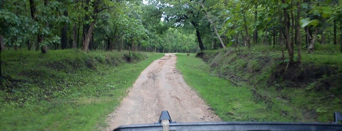 Kanha National Park is one of India.