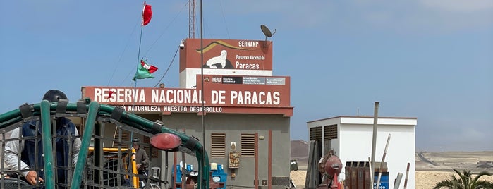 Reserva Nacional de Paracas is one of Peru Backpacker.