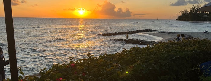 Soco Hotel is one of Barbados.