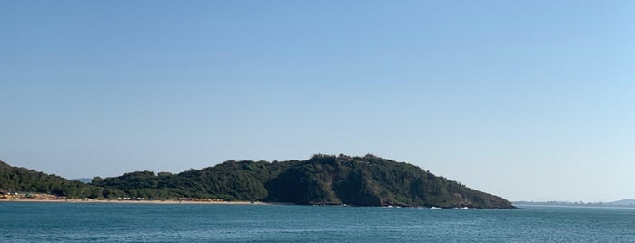 Praia da Tartaruga is one of See You In Búzios.