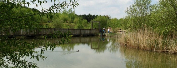 Rosliston Forestry Centre is one of Bigmac’s Liked Places.