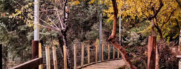 Taleghani Park | پارک طالقانی is one of Orte, die Atefe Alimohammad gefallen.