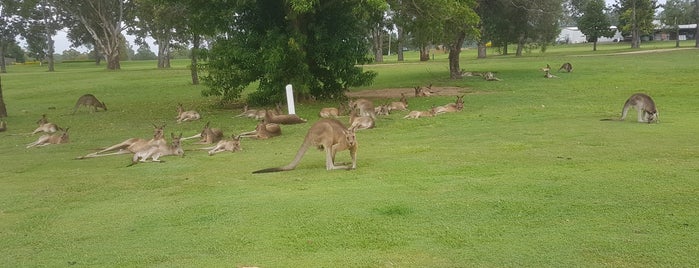 Wolston Park Golf Course is one of Aussie.