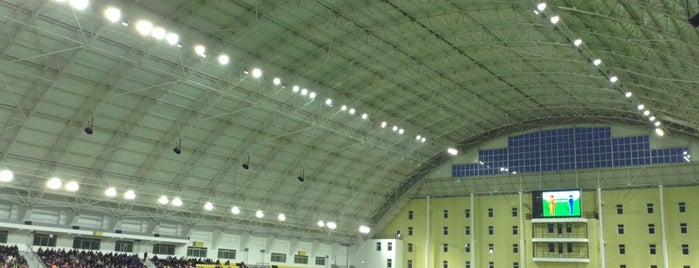 Крытая арена СК Шериф / Indoor arena SC Sheriff is one of Заведения для спорта.