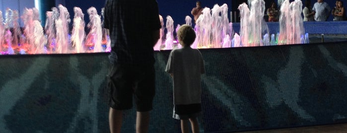 The Water Show is one of Places I Wanna Go.