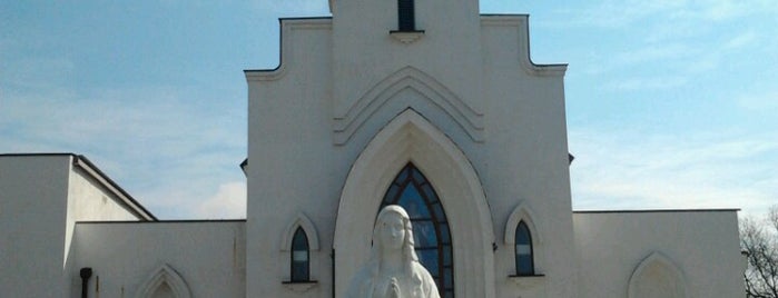 Храм Сердца Иисуса Христа Римско-католической Церкви is one of สถานที่ที่บันทึกไว้ของ Oleksandr.