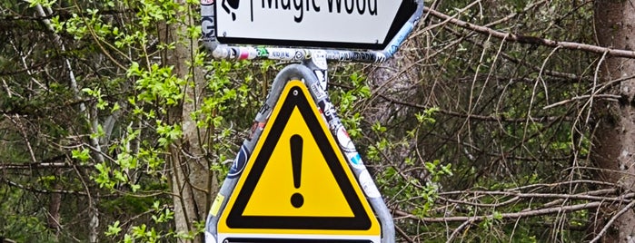 Magic Wood is one of Capetsch.