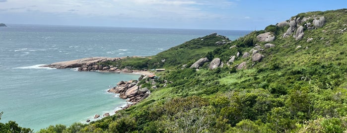 Ponta do Gravatá is one of Florianópolis.