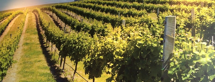 La Feuille de Vigne is one of Posti che sono piaciuti a 👓 Ze.