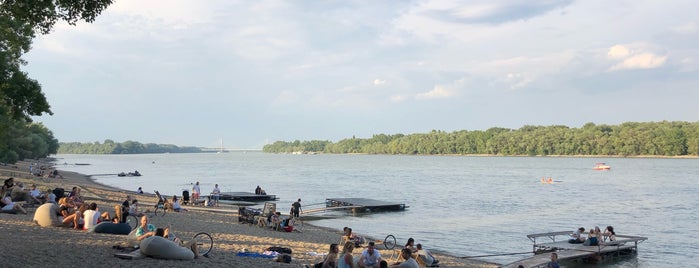 Nap Bácsi is one of สถานที่ที่ Neel ถูกใจ.